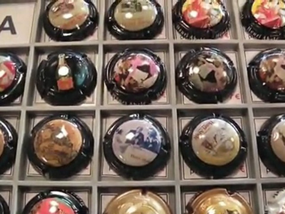 Collection de collectionneurs en salle des Congrès