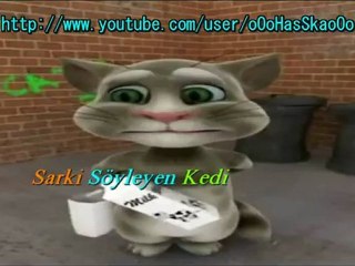 SesliDostum Şarkı Söyleyen Kedi SesliDostum.com seslidostum