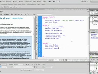 Adobe Dreamweaver CS6 : La palette des CSS