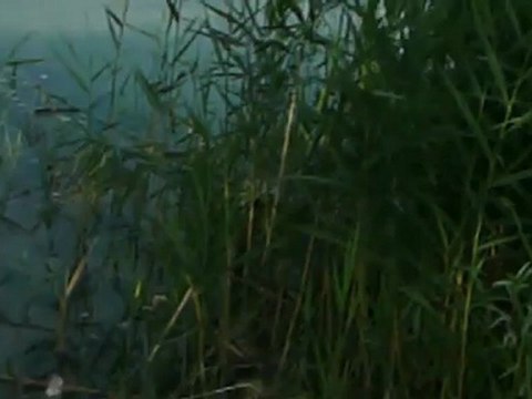 amorcage bateau amorceur maison