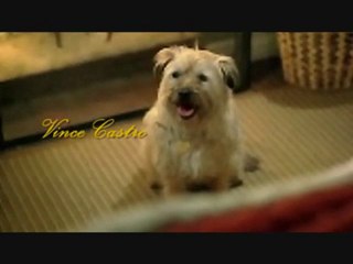 IN MY LIFE, Vince Castro