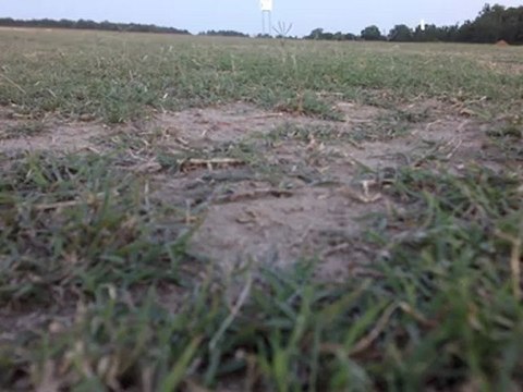 Aerial Video of Model plane exploding in powerlines
