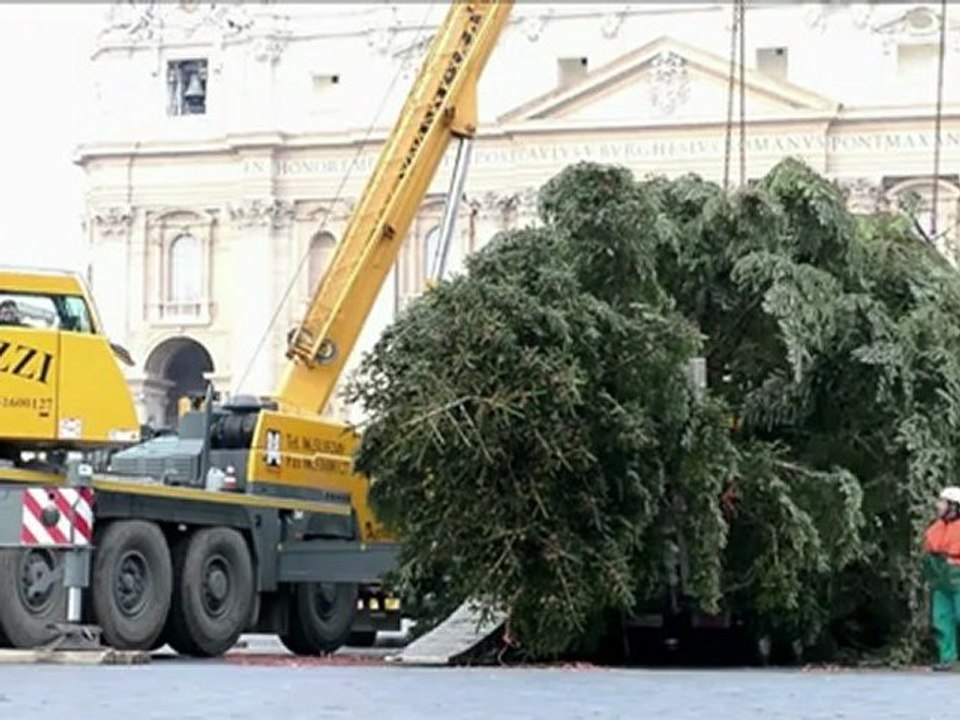 Árvore do Vaticano