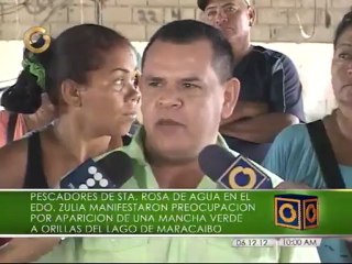 Denuncian aparición de mancha verde en las orillas del Lago de Maracaibo