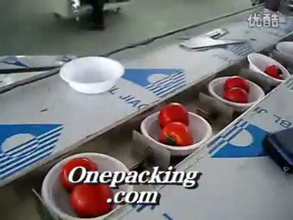 【china Fresh vegetables packaging machine】