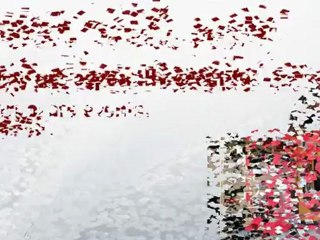 Other Rentals Nationwide 800 407-9855