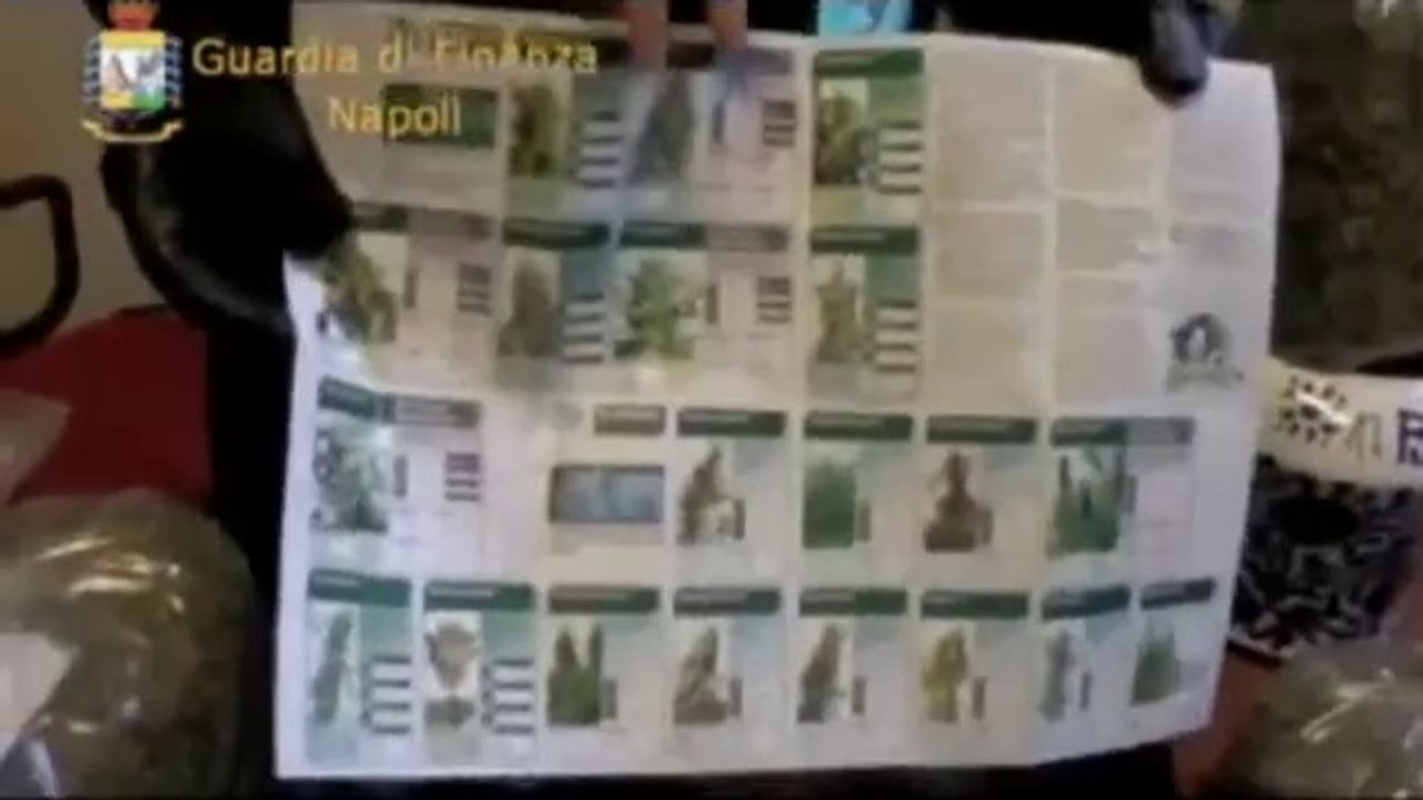 Piano di Sorrento (NA) - La Guardia di finanza sequestra 7 kg marijuana, un arresto (29.11.12)