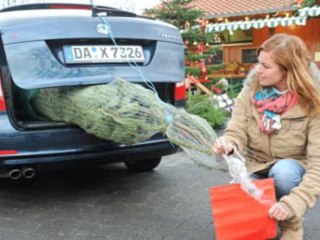 Alle Jahre wieder der Christbaum Transport
