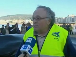 La ballena avistada en San Sebastián muere en la playa de la Concha