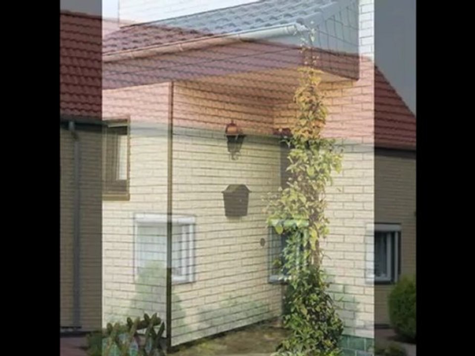 Fassadenverkleidung polybrick