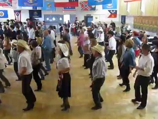 Irish stew                    793