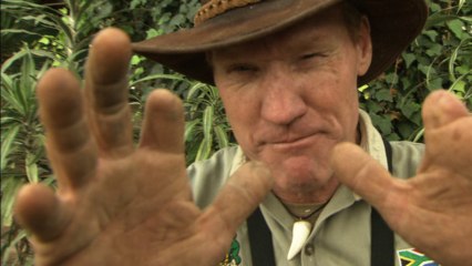 Farming Crocodiles 101 | Crocodile Creek Trailer