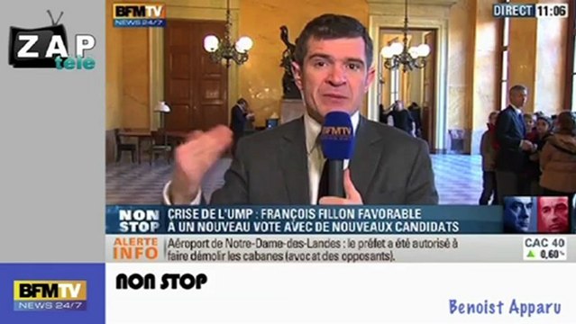 Zapping Actu du 12 Décembre 2012 - Un singe retrouvé à Ikéa, Fin du procès Diallo/DSK