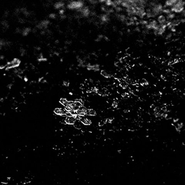 Djyanoo - Black Snow (Original Mix)