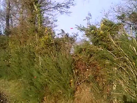 VID-20121206-00106