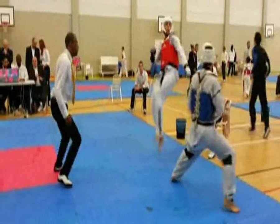 taekwondo championnat dpt 95 et 78  2013