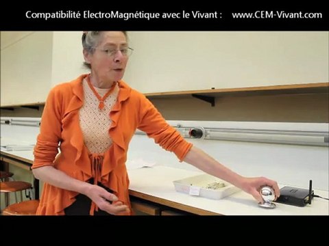 Les fourmis perturbées par un routeur Wi-Fi