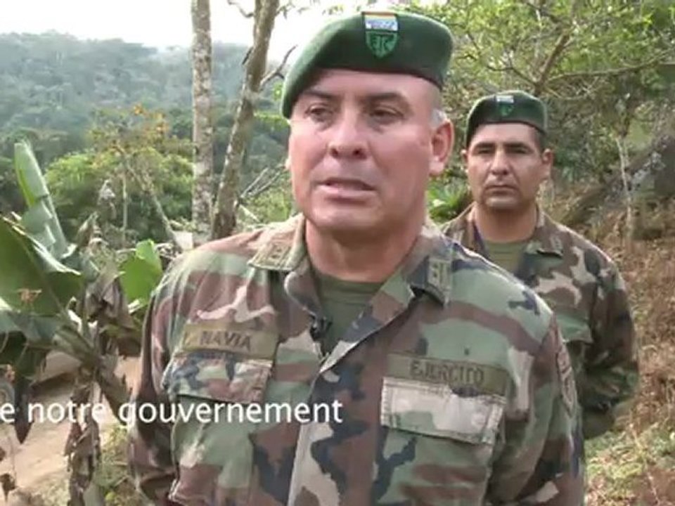 La coca en Bolivie