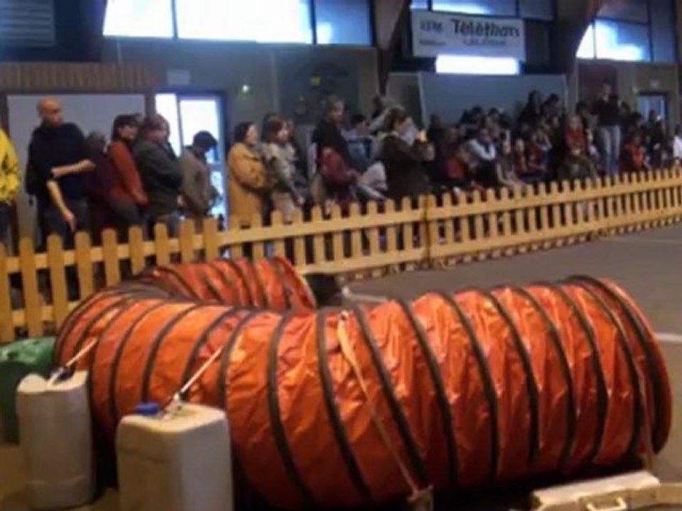 Capitole Agility 25-11-2012