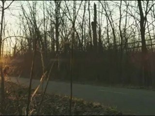 izmirde çiçekçiler- www.izmirciceksiparisi.org