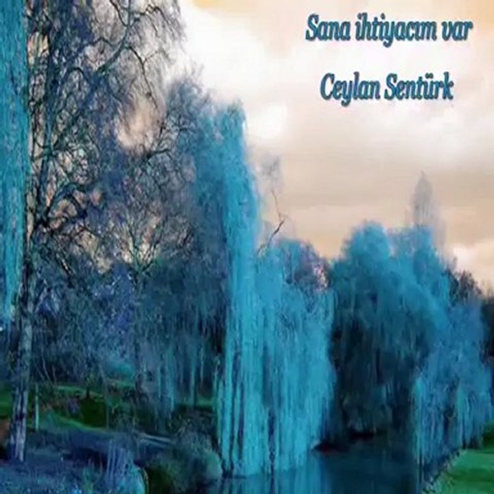 SANA İHTİYACIM VAR