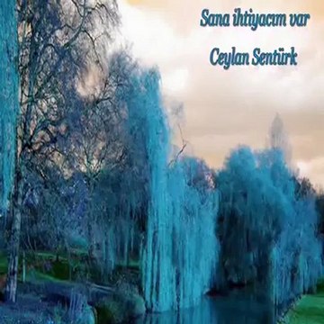 SANA İHTİYACIM VAR