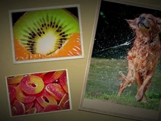 2012 vu dans mon objectif