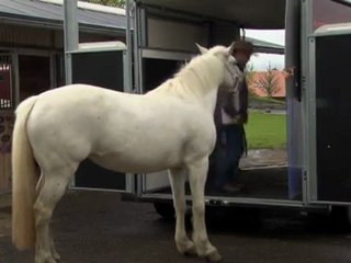 homme qui parle et danse avec les chevaux comm à 2minutes
