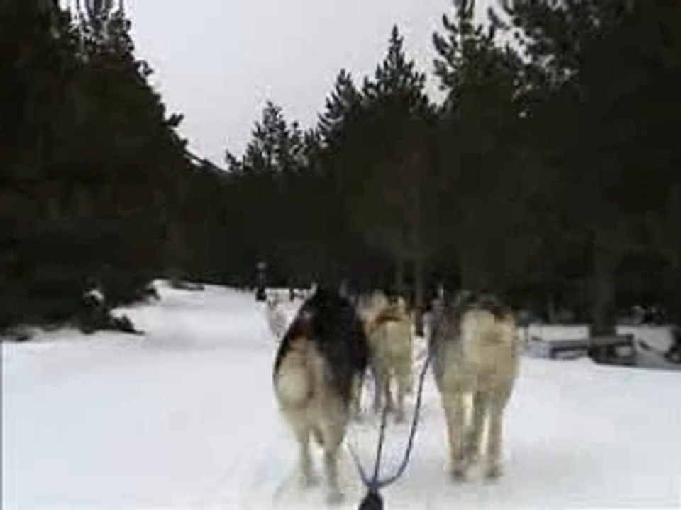 Musher Font Romeu - Pyrénées