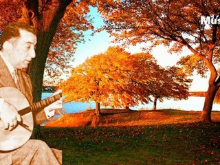 Selâhattin Pınar ♫ Ben yürürüm yâne yâne.HD