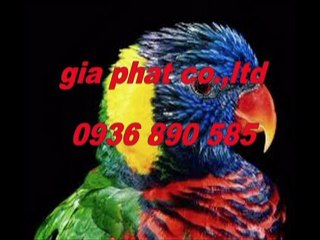 Xây dựng sửa nhà tại quận 4 hcm call 0907 323 053