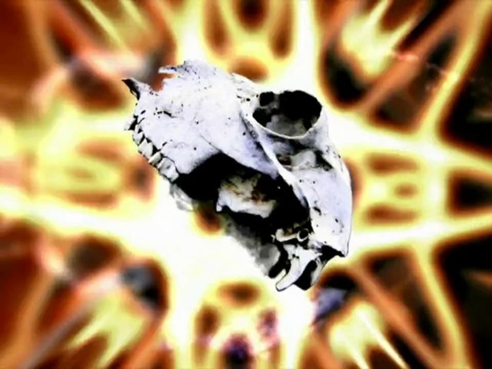 Pim Zond - Experimental Gothic Metal Music on iTunes