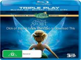 Secret of the Wings (2012) 720p BluRay x264 DTS RoSubbed-WiKi