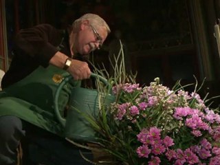 Schön im Alter: Notre-Dame wird 850