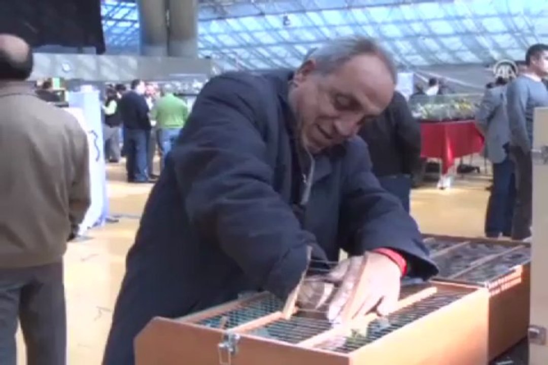 ''En güzel'' kanarya seçilecek