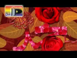 Agha Ali Raza Sadka Hussain a.s ka 2012-2013