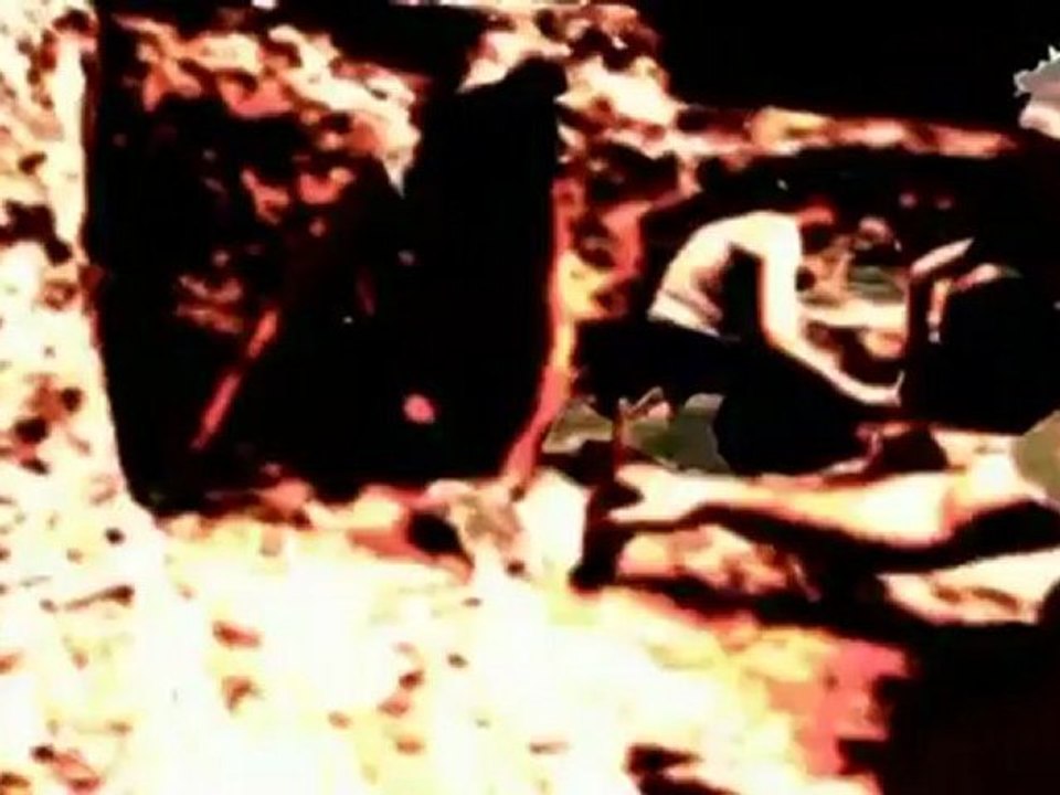 Die Anfänge der Menschheit - Vom Affen zum Menschen Teil 3