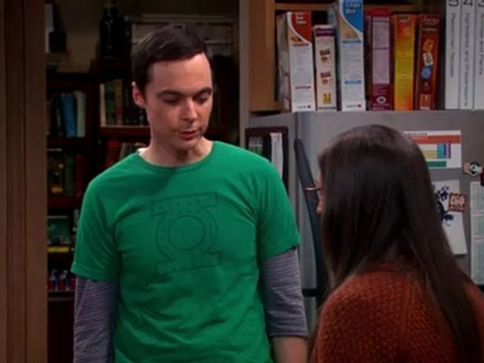 [The Big Bang Theory S06E07] Une relation scientifique