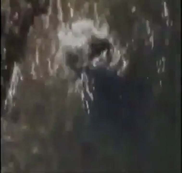 KUŞ AVLAYAN BALIK