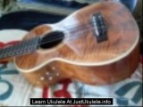 learn ukulele chords beginner