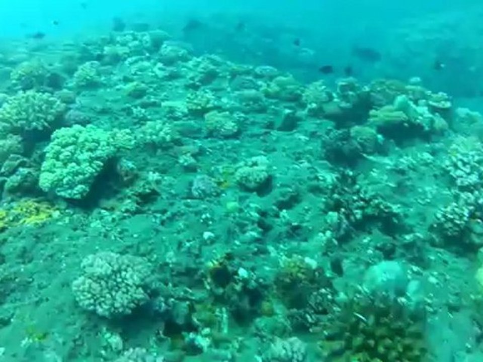 sortie bateau entre amis par Lilly Prod