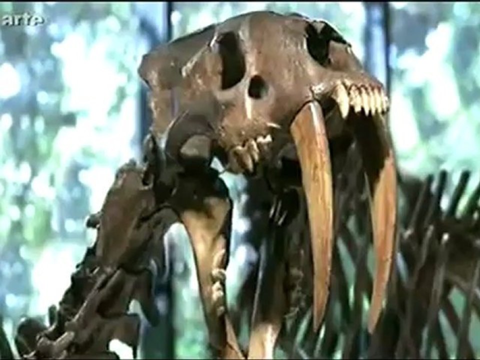 10.000 B.C_ Reise zu den Vorzeit-Indianern 3_8