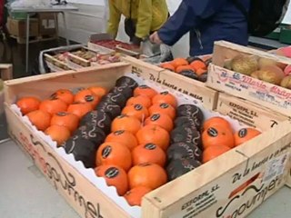 La crise touche aussi les dons