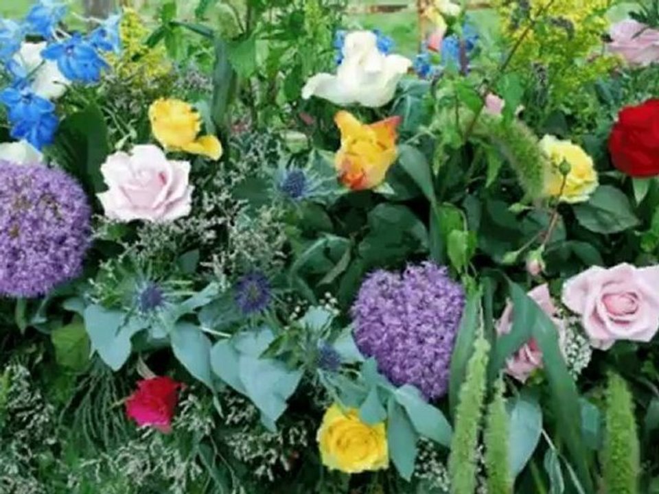 HOLDAS ÉJ  A  DUNÁN-MÁS FORMÁBAN