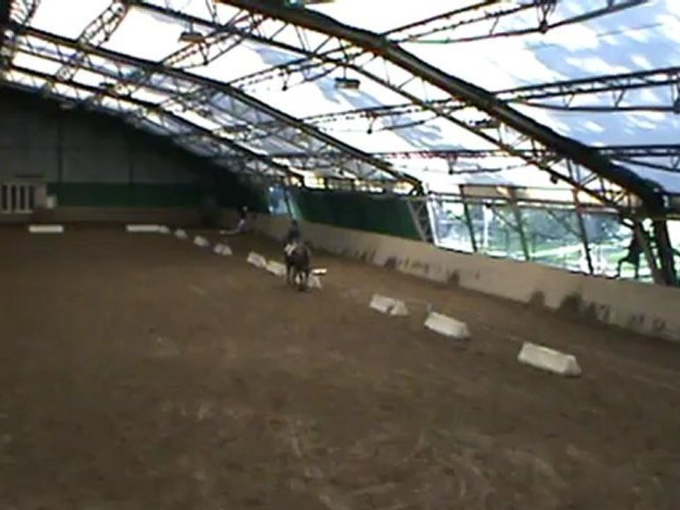 parsifal - dressage GP club 2