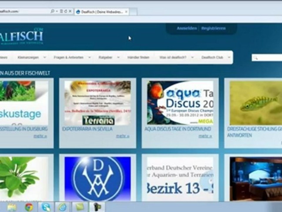 Aquarium Aquaristik Süsswasserfische Meerwasserfische Fischkrankheiten www.dealfisch.com