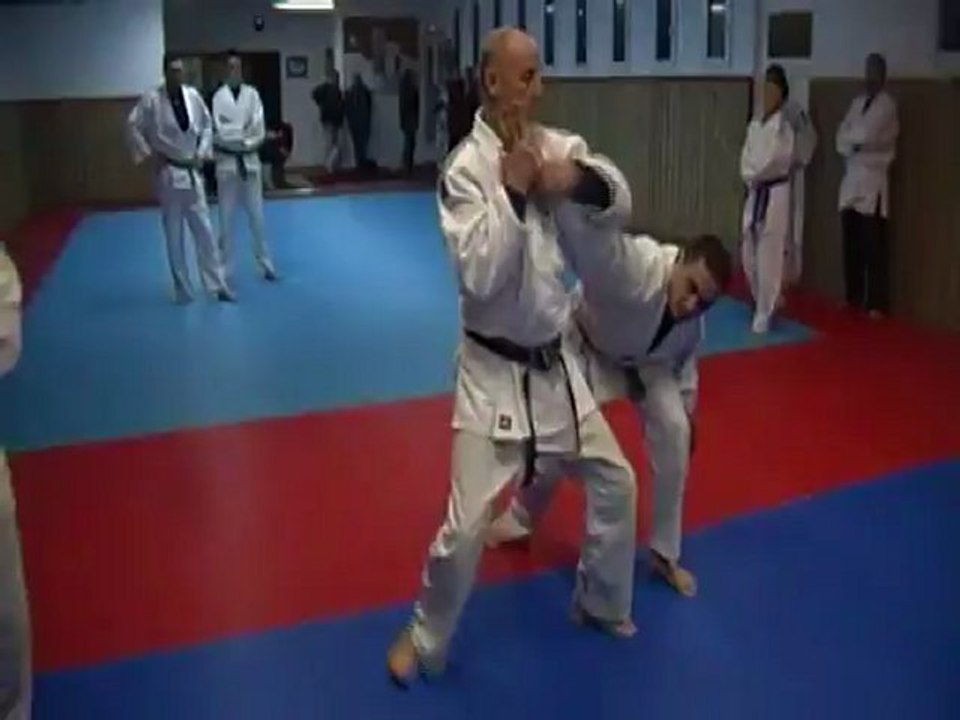 Jujitsu Rollin Philippe