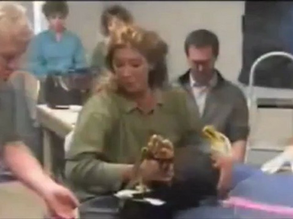 simbolo di libertà della vita