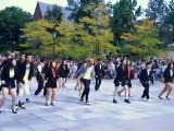 Cornell University Flash Mob  Gangnam Style