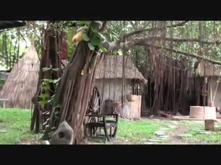 RU LẠI CÂU HÒ - Thi Mai